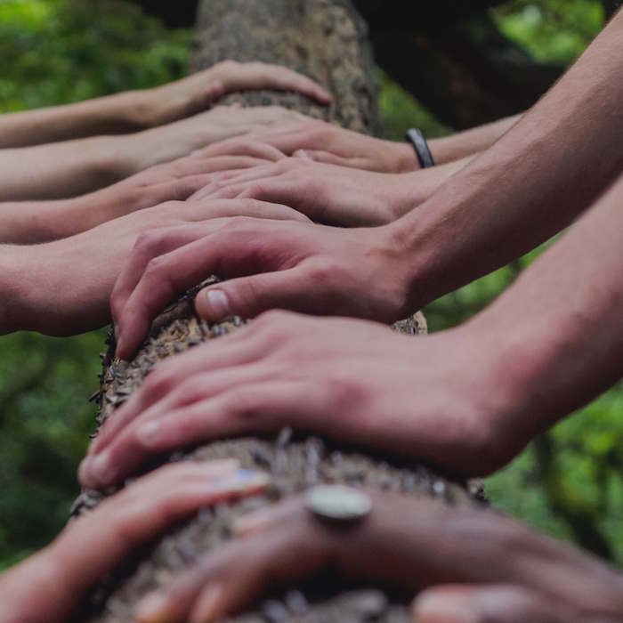 Bioenergetica e Meditazione al Parco – In presenza